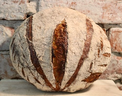 Surdeigsbrød